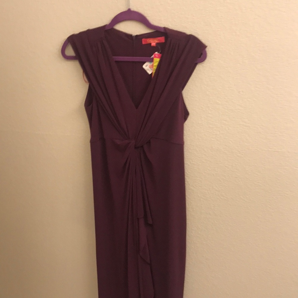 Maroon Catherine gown